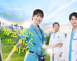 鲁大师在线免费日韩
