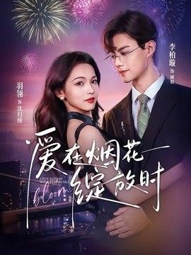 印度电影《空中悍将》