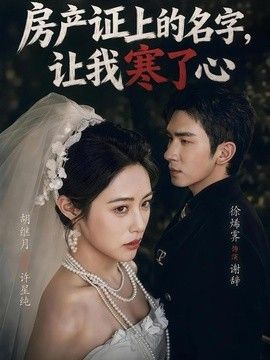 可爱少帅免费播放