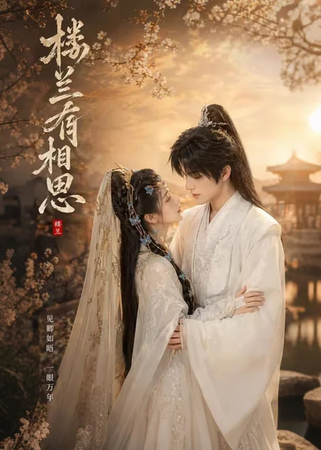 鲁大师的视频
