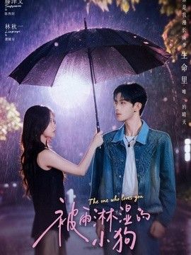 鲁大师在线观看免费版高清
