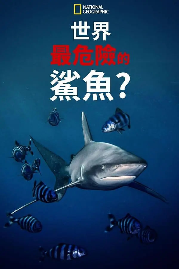 翁虹版的潘金莲无删减版