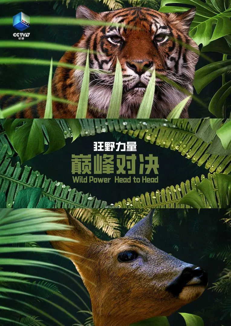 日韩亚洲精品区
