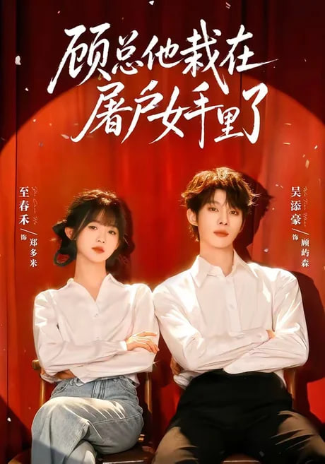 偷偷藏不住第二部电视剧全集免费观看